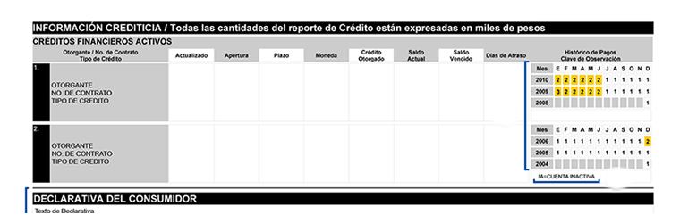 reporte de crédito detalles