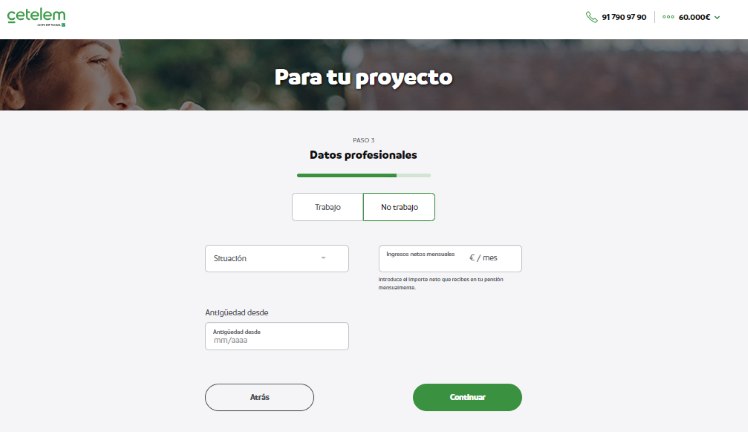 Simulación Préstamo Cetelem - Datos profesionales si no trabajamos